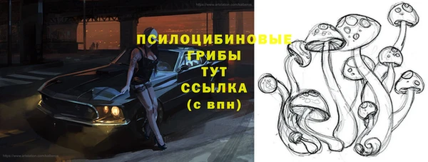 ПСИЛОЦИБИНОВЫЕ ГРИБЫ Новодвинск