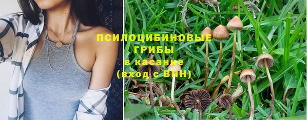 ПСИЛОЦИБИНОВЫЕ ГРИБЫ Новодвинск