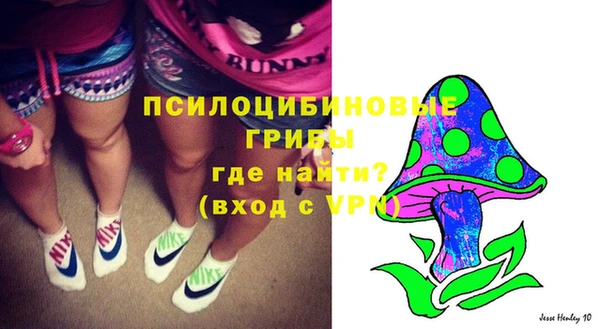 MDMA Premium VHQ Новозыбков
