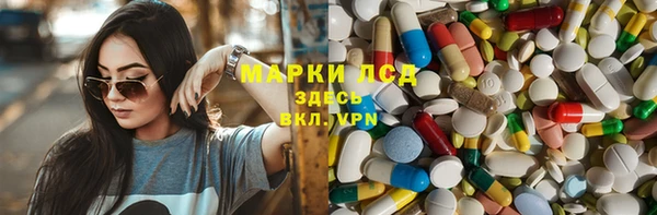 твердый Новокубанск