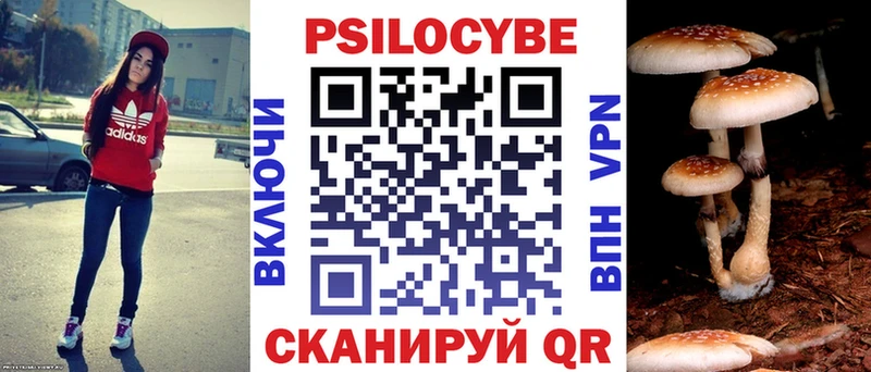 Псилоцибиновые грибы мицелий  где купить наркоту  Тырныауз 